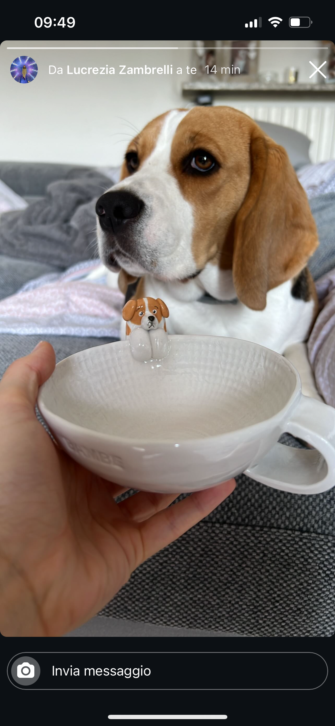TAZZA ARTISTICA NORMALE CON UN PET APPESO