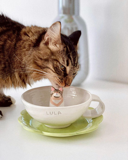 TAZZA ARTISTICA NORMALE CON PET