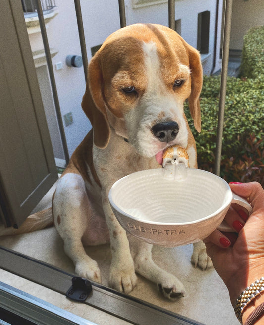TAZZA ARTISTICA NORMALE CON UN PET APPESO